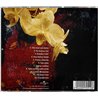 Lepistö Päivi CD Yöperhonen  kansi EX levy EX Käytetty CD