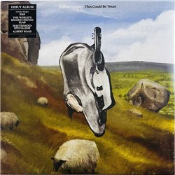 English Teacher LP This Could Be Texas vinyl LP
