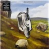 English Teacher LP This Could Be Texas vinyl LP
