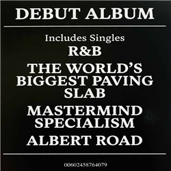 English Teacher LP This Could Be Texas vinyl LP