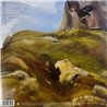 English Teacher LP This Could Be Texas vinyl LP