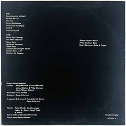 Young Marble Giants 1980 ROUGH 8 Colossal Youth Begagnat LP