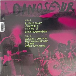 Dinosaur Jr. 2007 BGR004LP Beyond, green + purple vinyl LP