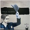 Bad Religion LP True North vinyl LP