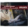 Apulanta CD Ei yhtään todistajaa CD-single  kansi EX levy EX Käytetty CD