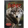 DVD - Pedot lähikuvassa n.2000 FIP 8302 20024 Maailman Sudet 25 DVD Begagnat