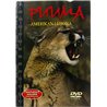 DVD - Pedot lähikuvassa n.2000 FIP 8302 20025 Puuma Amerikan leijona 21 DVD Begagnat