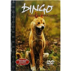 DVD - Pedot lähikuvassa n.2000 FIP 8302 20008 Dingo ystävä vai vihollinen 16 DVD Begagnat