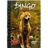 DVD - Pedot lähikuvassa n.2000 FIP 8302 20008 Dingo ystävä vai vihollinen 16 DVD Begagnat