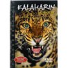 DVD - Pedot lähikuvassa DVD Kalaharin Leopardit 10  kansi EX levy EX Käytetty DVD