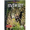 DVD - Pedot lähikuvassa n.2000 FIP 8302 20016 Espanjan viimeiset Ilvekset 8 DVD Begagnat