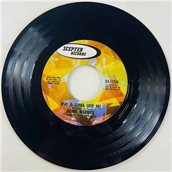 Warwick Dionne Käytetty 7” ei kuvakantta Who Is Gonna Love Me?  kansi Ei kuvakantta levy EX käytetty vinyylisingle