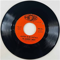 Raspberry Singers Käytetty 7” ei kuvakantta Peace In The Valley / The Lord Is Coming Back  kansi Ei kuvakantta levy EX käytetty 