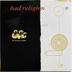 Bad Religion LP The Process Of Belief, orange/black vinyl vinyl LP
