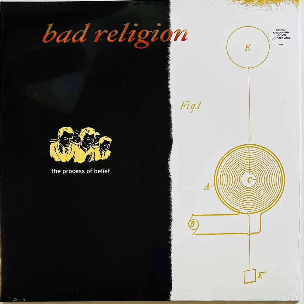 Bad Religion LP The Process Of Belief, orange/black vinyl vinyl LP