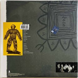 Bad Religion LP The Process Of Belief, orange/black vinyl vinyl LP