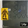 Bad Religion LP The Process Of Belief, orange/black vinyl vinyl LP