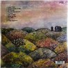 J Mascis LP Several shades of why vinyl LP
