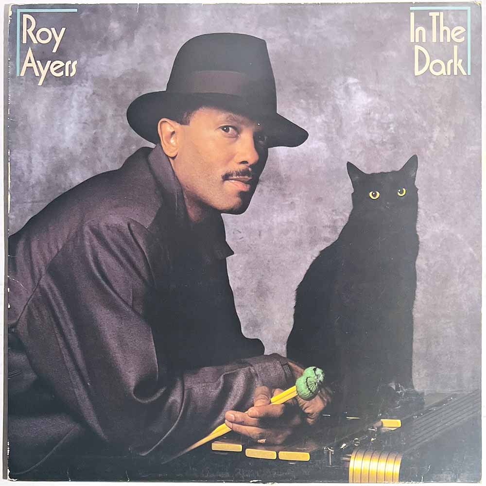 Ayers Roy LP In the dark  kansi VG+ levy EX Käytetty LP