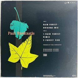 Hardcastle Paul LP Rain forest, 12-inch maxi  kansi VG levy EX Käytetty LP