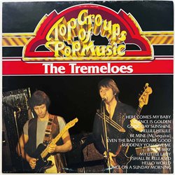 Tremeloes LP Top Groups of Pop Music  kansi VG levy EX Käytetty LP