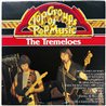 Tremeloes LP Top Groups of Pop Music  kansi VG levy EX Käytetty LP