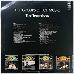 Tremeloes LP Top Groups of Pop Music  kansi VG levy EX Käytetty LP