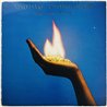 Mighty Diamonds LP Ice On Fire  kansi VG- levy EX Käytetty LP