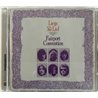 Fairport Convention 1969 586 929-2 Liege & Lief CD Begagnat