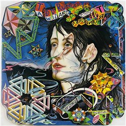 Rundgren Todd 1973 BR 2133 A Wizard, A True Star Begagnat LP