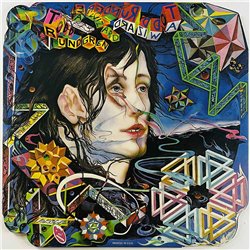 Rundgren Todd 1973 BR 2133 A Wizard, A True Star Begagnat LP