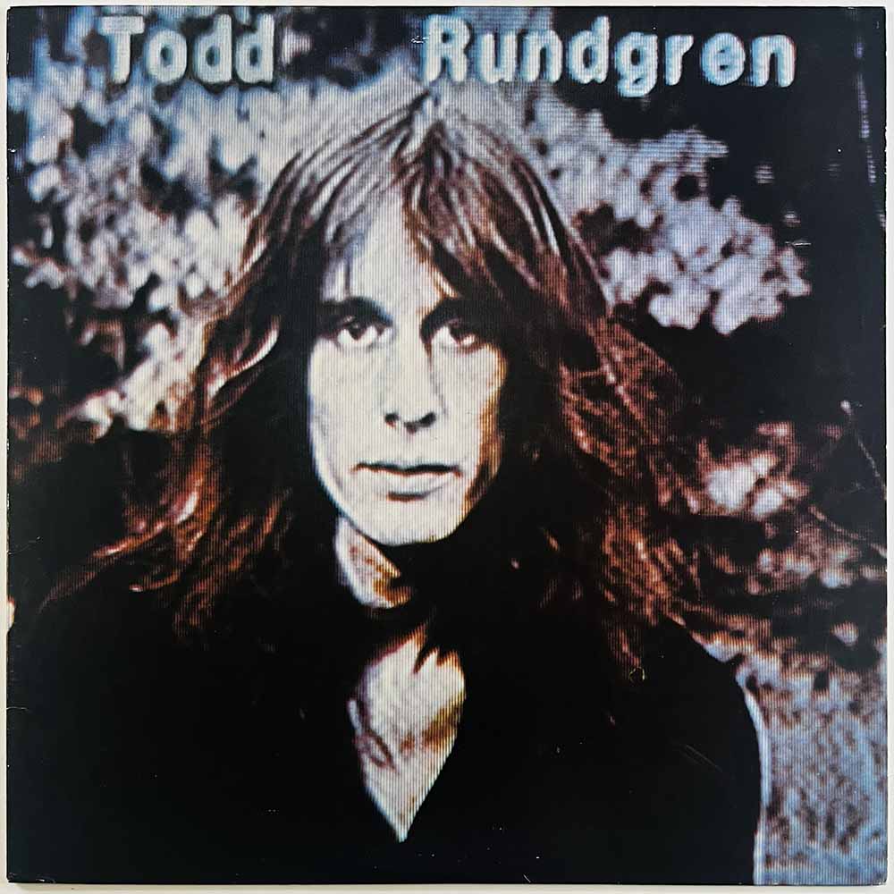 Rundgren Todd 1978 BRK 6981 Hermit of mink hollow Begagnat LP