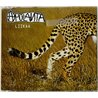Apulanta Käytetty CD Liikaa CD-single  kansi EX levy EX Käytetty CD