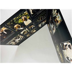 Rota Nino LP The Godfather soundtrack  kansi EX levy EX Käytetty LP
