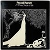 Procol Harum LP A whiter shade of pale / A salty dog 2LP  kansi EX- levy EX Käytetty LP