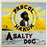 Procol Harum LP A whiter shade of pale / A salty dog 2LP  kansi EX- levy EX Käytetty LP