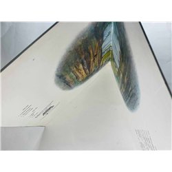 Genesis LP Trespass  kansi VG+ levy VG+ Käytetty LP