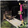 Brand X LP Do they hurt?  kansi EX- levy EX Käytetty LP