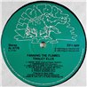 Ellis Tinsley LP Fanning The Flames  kansi EX- levy EX Käytetty LP