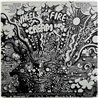 Cream LP Wheels of fire 2LP  kansi EX- levy EX Käytetty LP