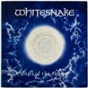 Whitesnake LP Still of the night, 12-inch maxi  kansi VG levy EX Käytetty LP