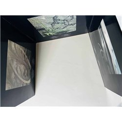 Led Zeppelin LP Remasters 3LP  kansi EX- levy EX- Käytetty LP