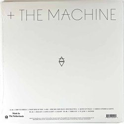Florence + The Machine LP How Big, How Blue, How Beautiful 2LP  kansi  levy  LP