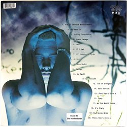 Eminem LP The Slim Shady LP 2LP  kansi  levy  LP
