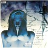 Eminem LP The Slim Shady LP 2LP  kansi  levy  LP