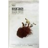 RJD2, Since We Last Spoke Käytetty juliste promo poster 28cm x 42cm Käytetty juliste