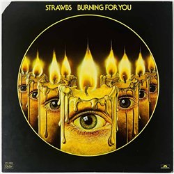 Strawbs LP Burning for you  kansi EX levy EX Käytetty LP