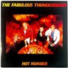 Fabulous Thunderbirds LP Hot number  kansi EX levy EX Käytetty LP