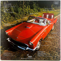Fabulous Thunderbirds 1982 CHR 1395 T-Bird Rhythm Begagnat LP