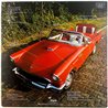 Fabulous Thunderbirds 1982 CHR 1395 T-Bird Rhythm Begagnat LP